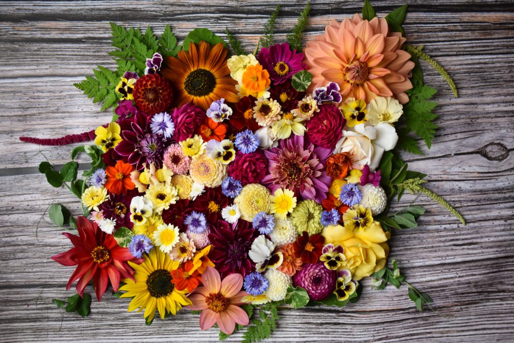 Where to Buy Edible Flowers UK