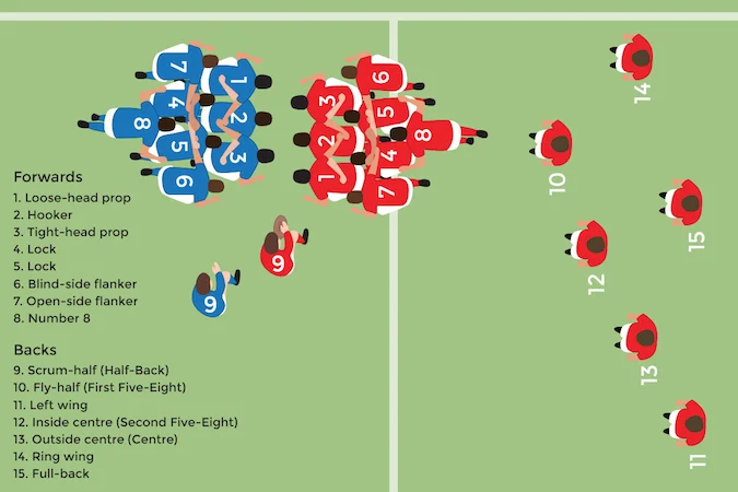 Rugby Positions