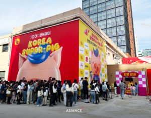 Online Brands Korean Consumers